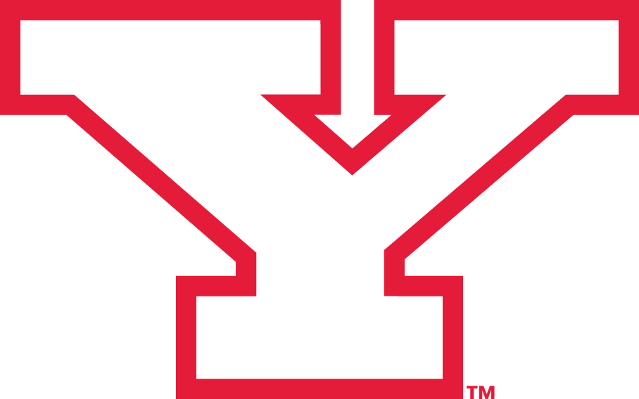 Youngstown State Penguins 1993-Pres Alternate Logo v2 diy fabric transfer